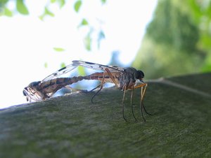 jm-Wales-BreconBeacons-3.jpg jm-Wales-BreconBeacons-3.jpg