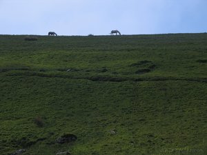 jm-Wales-BreconBeacons-4.jpg jm-Wales-BreconBeacons-4.jpg