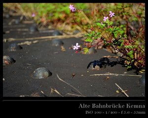 DSC_0802_ji_r.jpg DSC_0802_ji_r.jpg