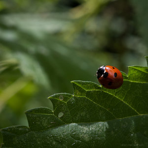 1shot1moment@bilderforum (1 von 1).jpg