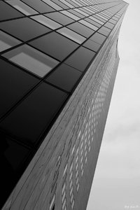 comp_DSC00418 - Kopie.jpg