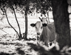 1shot1moment@bilderforum (1 von 1).jpg