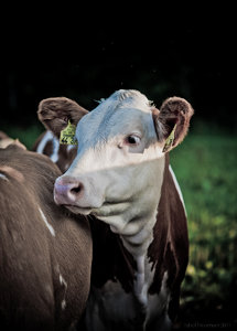 1shot1moment@bilderforum (1 von 1)-2.jpg