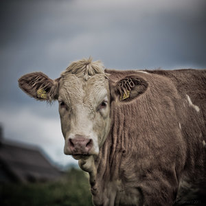 1shot1moment@bilderforum (1 von 1)-3.jpg