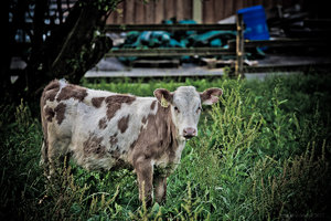 1shot1moment@bilderforum (1 von 1)-4.jpg