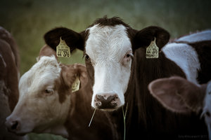 1shot1moment@bilderforum (1 von 1)-5.jpg