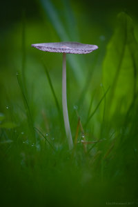 1shot1moment@bilderforum (1 von 1).jpg