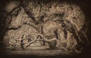 suentelsommer2.jpg suentelsommer2.jpg