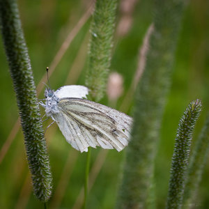 1shot1moment@bilderforum (1 von 1).jpg