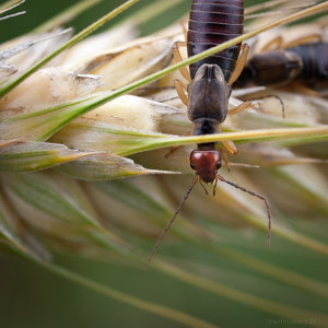 1shot1moment@bilderforum (1 von 1)-2.jpg