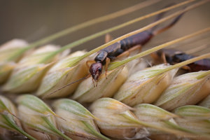 1shot1moment@bilderforum (1 von 1)-3.jpg