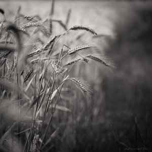 1shot1moment@bilderforum (1 von 1).jpg