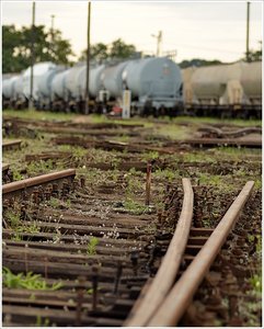 Bahngelände (4).JPG Bahngelände (4).JPG