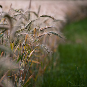 1shot1moment@bilderforum (1 von 1).jpg