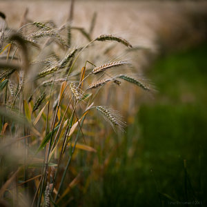 1shot1moment@bilderforum (1 von 1)-2.jpg