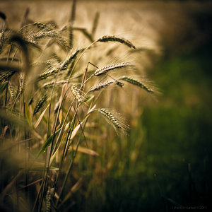 1shot1moment@bilderforum (1 von 1)-3.jpg