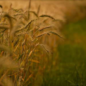 1shot1moment@bilderforum (1 von 1)-4.jpg