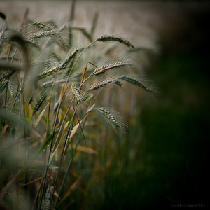 1shot1moment@bilderforum (1 von 1)-5.jpg