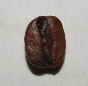 _DSC222_Bildgröße ändern.jpg