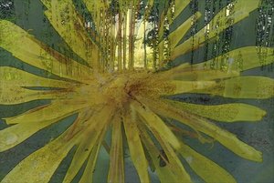 DSCN1197_Mix ZeichnungFF.JPG