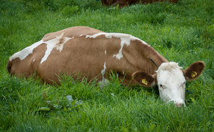 1shot1moment@bilderforum (1 von 3).jpg