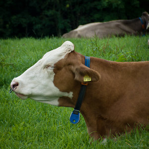 1shot1moment@bilderforum (2 von 3).jpg