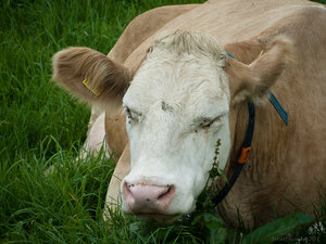 1shot1moment@bilderforum (3 von 3).jpg