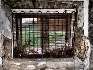 comp_P7142119.jpg comp_P7142119.jpg