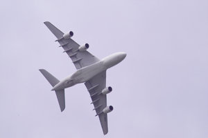 IMG04286.jpg IMG04286.jpg