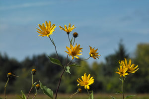 IMG04477.jpg IMG04477.jpg