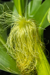 IMG04483.jpg IMG04483.jpg