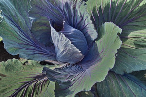 IMG04488.jpg IMG04488.jpg