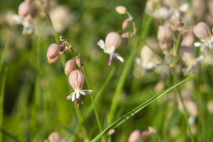 IMG04490.jpg IMG04490.jpg