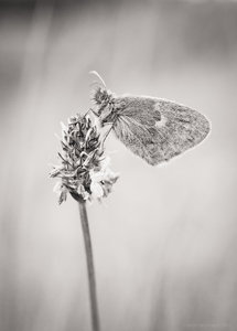 1shot1moment@bilderforum (1 von 1).jpg