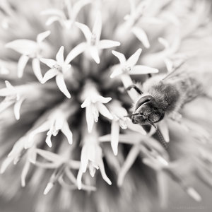 1shot1moment@bilderforum (1 von 1)-2.jpg