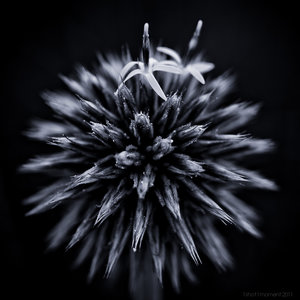 1shot1moment@bilderforum (1 von 1).jpg