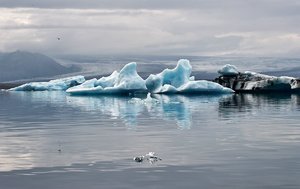 comp_SDIM7540 Kopie.jpg