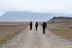 comp_SDIM7556 Kopie.jpg