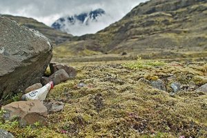 comp_SDIM7624 Kopie.jpg