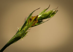 1shot1moment@bilderforum (1 von 1).jpg