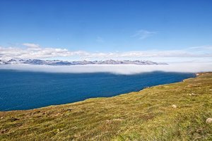 comp_SDIM8033 Kopie.jpg