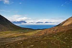 comp_SDIM8127 Kopie.jpg