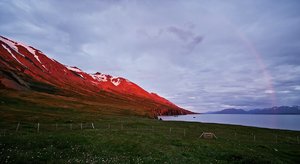 comp_SDIM8108 Kopie.jpg