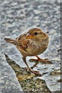 sample 1.jpg sample 1.jpg