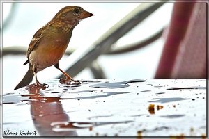 sample 6.jpg sample 6.jpg