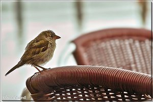 sample 7.jpg sample 7.jpg