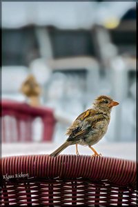 sample 8.jpg sample 8.jpg