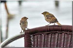 sample 9.jpg sample 9.jpg