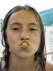 sample 11.jpg sample 11.jpg