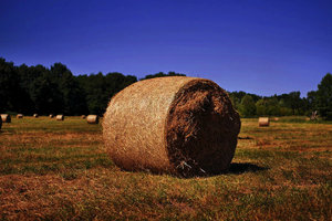 _DSC3208_1_(3).jpg _DSC3208_1_(3).jpg